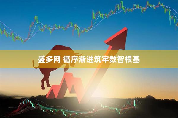盛多网 循序渐进筑牢数智根基